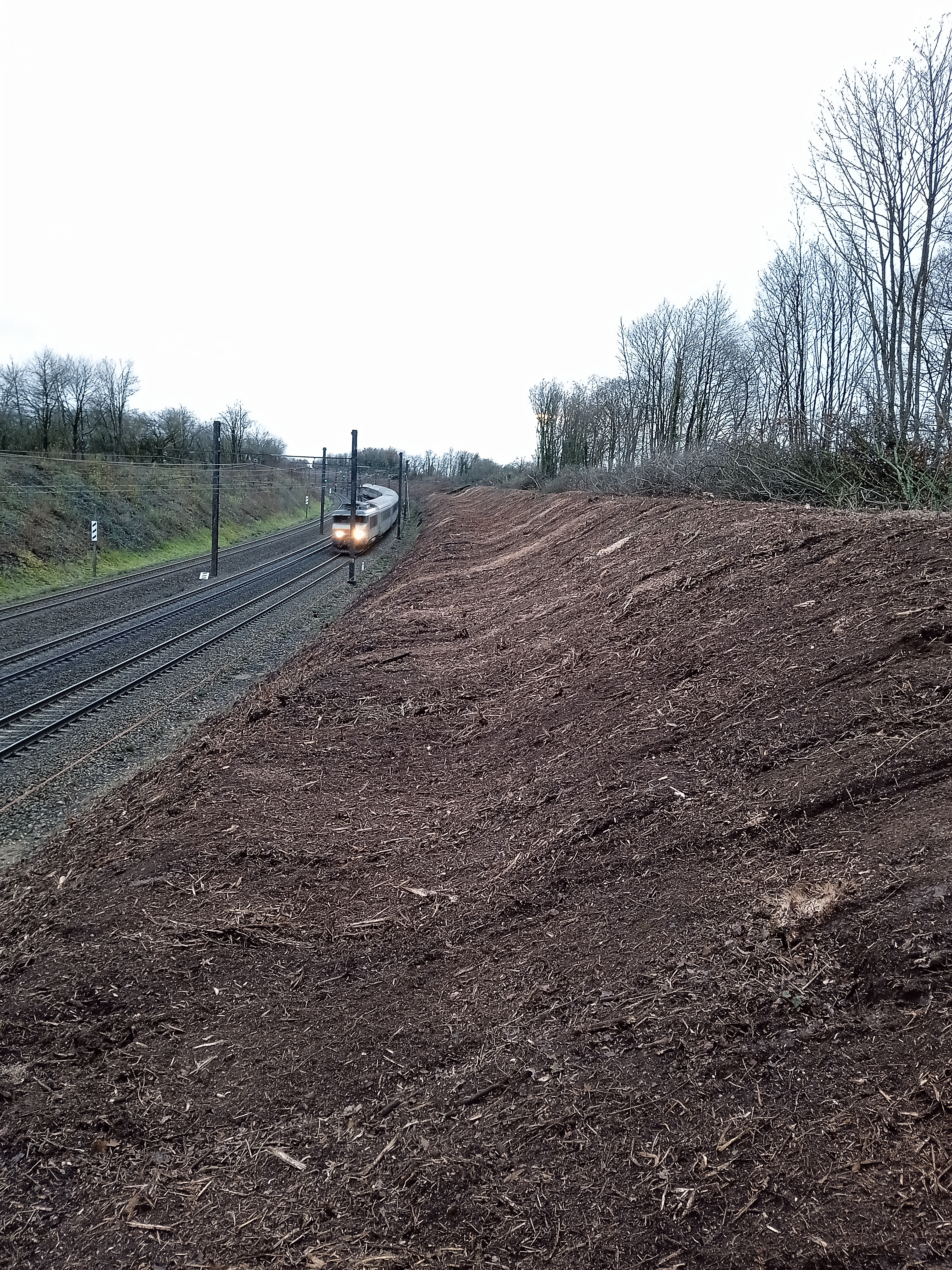 Broyage de talus SNCF